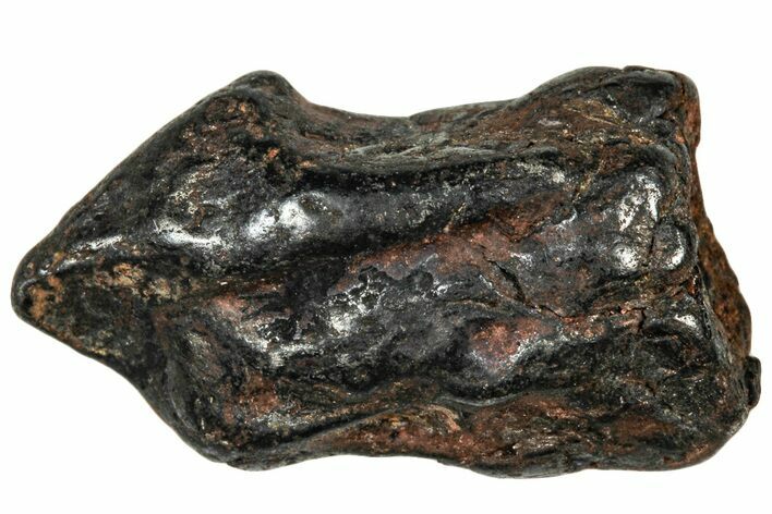 Agoudal Iron Meteorite ( g) - Morocco #303925